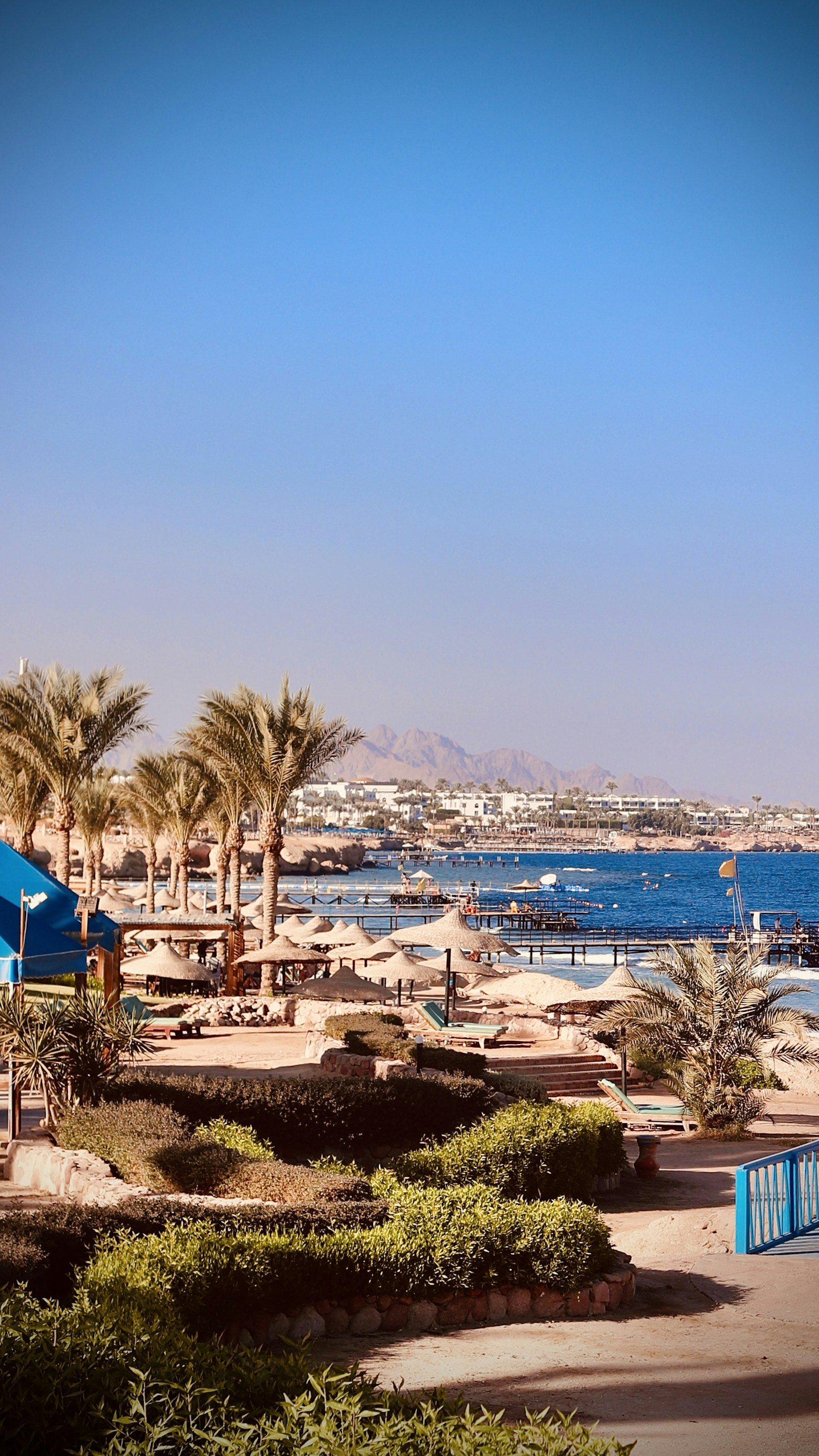 Sharm ash-Shayx sohilidagi Qizil dengiz